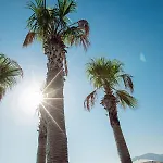 Boel Hotel Bodrum מלון *