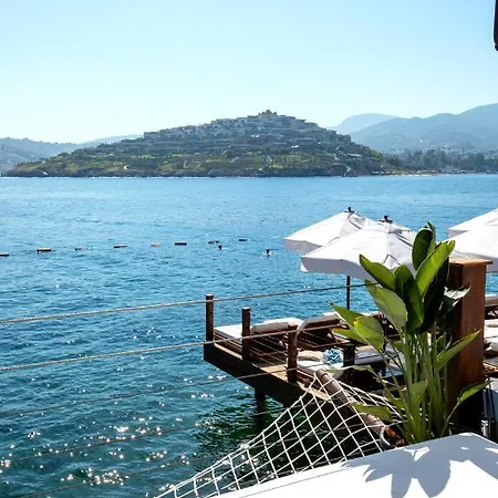 فندق Boel Hotel Bodrum بودروم