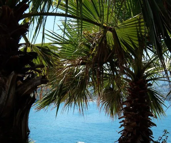 Boel Hotel Bodrum *