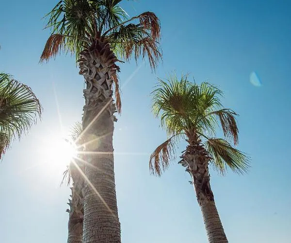 Boel Hotel Bodrum Отель *